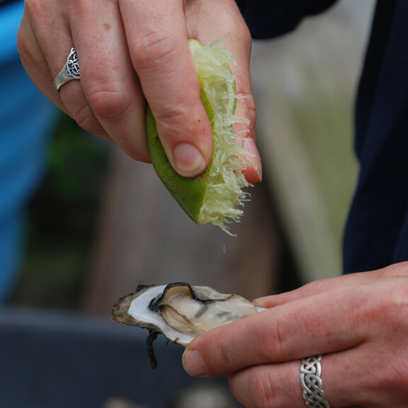 geöffnete Auster wird mit Zitrone beträufelt (Foto: H. Höfer)